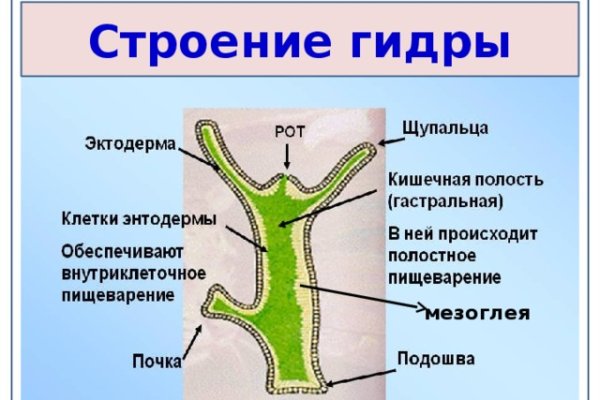 Блэк спрут не работает blacksprut adress com