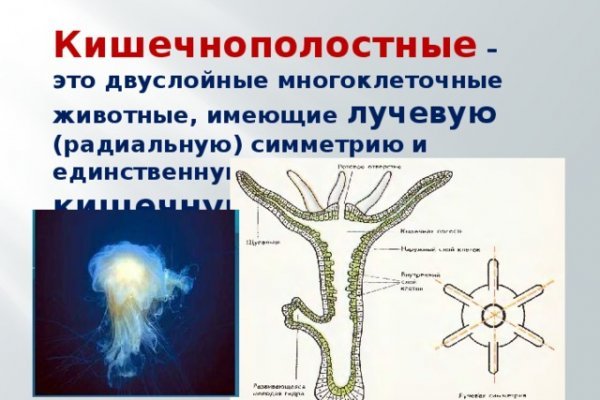 Код blacksprut blacksprute com